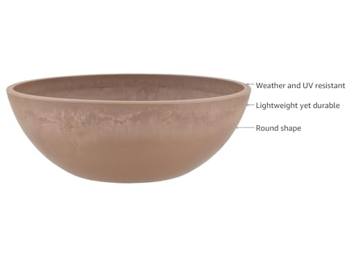 PSW Pot Collection Shallow Garden Bowl Low Planter for Succulents Bonsai Fairy Gardens Herbs 10-inch Taupe