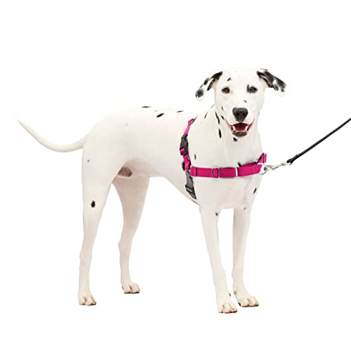 PetSafe Easy Walk Harness M/L Raspberry