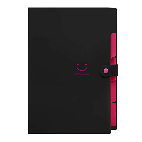 SKYDUE Expanding File Folder: Organize in Style