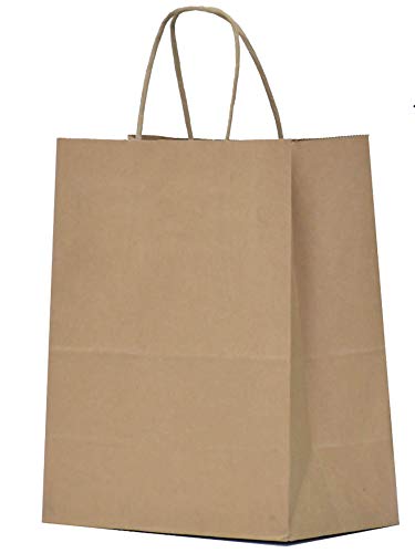 QUTUUS Kraft Shopping Bags 100 Pcs 10x5x13 Brown Paper Bags with Handles Bulk Brown Gift Bags Recycled Paper Bags Paper Retail Bags Paper Gift Bags