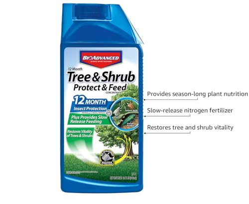 BioAdvanced 12-Month Tree & Shrub Protect & Feed: Insect Killer + Fertilizer 32oz Concentrate