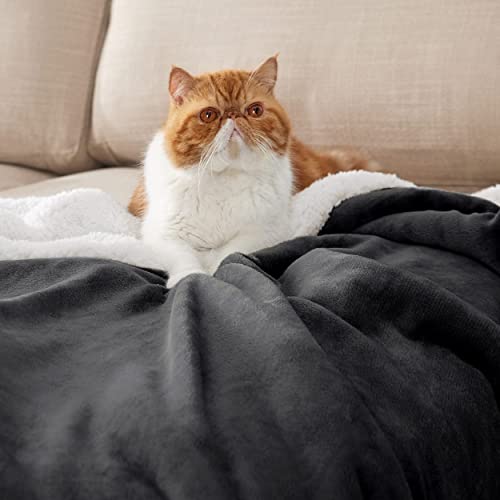 Bedsure Sherpa Fleece Throw: Ultra-Soft Blanket for Year-Round Comfort