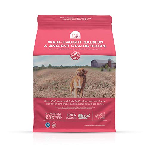 Open Farm Ancient Grains Dry Dog Food Humanely Raised Meat Recipe with Wholesome Grains and No Artificial Flavors or Preservatives (Wild Salmon Ancient Grain 11 Pound (Pack of 1))