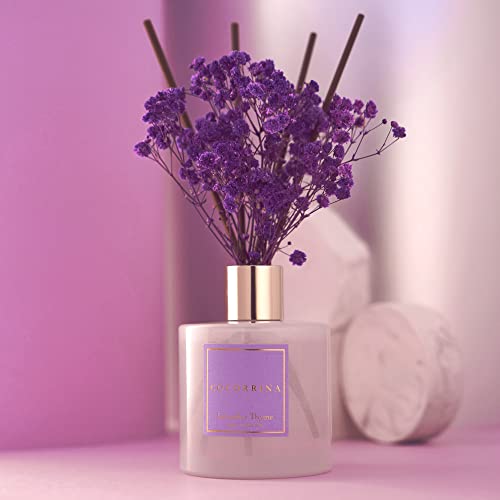 COCORRÍNA Premium Reed Diffuser Set with Preserved Baby's Breath & Cotton Stick Lavender Thyme | 6.7oz Scent Fragrance Lavender Oil Diffuser for Bedroom Bathroom Home Décor