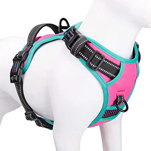PHOEPET 2019 Upgraded No Pull Dog Harness Reflective Adjustable Vest with a Training Handle + 2 Metal Leash Hooks+ 3 Snap Buckles +4 Slide Buckles