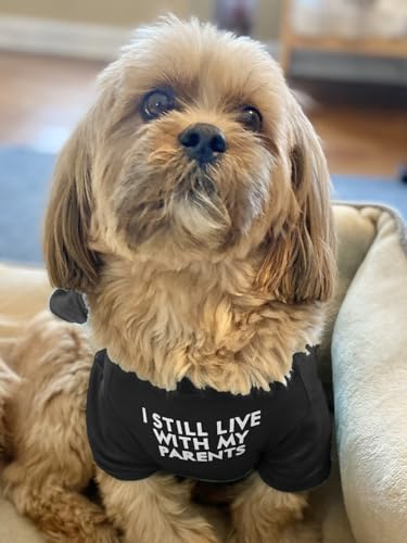 Cute Dog Clothes Dog T Shirt for Medium Dogs.Dog Clothes for Small Dogs Girl Boy Puppy.Breathable Soft Dog Costume Pet Dogs Cats Pet Pullover Jumper Cat Clothes (S-(4~8lb) Chest~14\" Black Parents