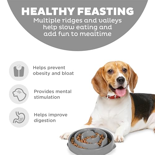 Outward Hound Fun Feeder Drop Gray Cat Bowls 2 Cups Medium