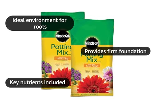 Miracle-Gro Potting Mix 16 qt. 2-Pack