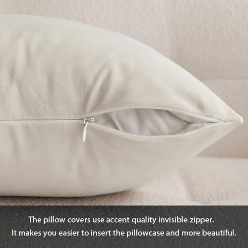 MIULEE Velvet Soft Pillow Covers for Decor