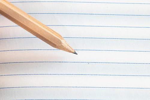 Humpback Whales Coilbound Notebook - 100% Recycled Paper Art & Journal