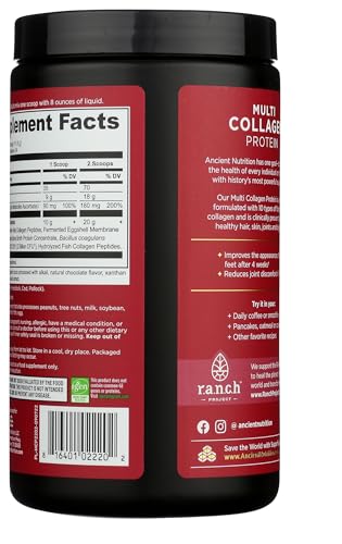 ANCIENT NUTRITION Chocolate Multi Collagen Protein 10 OZ