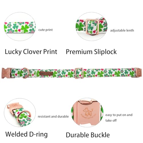 Elegant little tail Dog Collar Green Clover Pet Collar Dog Collar St Patrick's Day Dog Collar Holiday Pet Collar Cute Puppy Collar Adjustable Pet Dog Collars for Medium Dogs