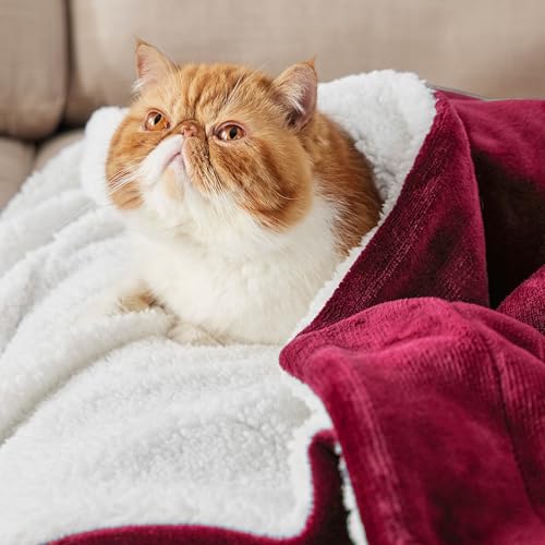 Bedsure Sherpa Fleece Twin Blanket - Soft, Fuzzy, Warm