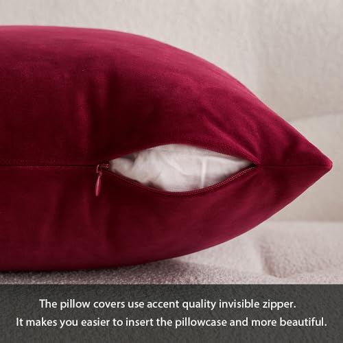 MIULEE Velvet Soft Throw Pillow Covers for Couch
