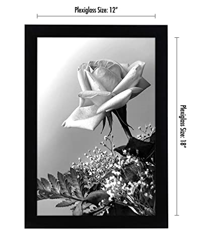 Americanflat 12x18 Poster Frame - Protect & Display