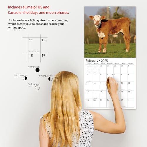 Windrio 2025 Wall Calendar: Thick & Sturdy for Organizing