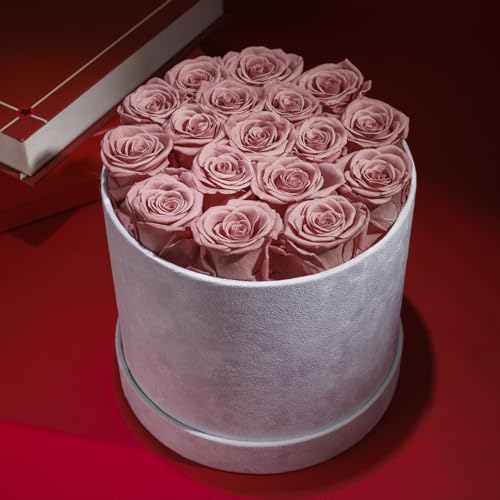 Forever Real Roses in Suede Box - 17-Piece Roses in a Box - Real Preserved Roses That Last Over a Year - Preserved Flowers for Delivery Prime - Valentine's Day Birthday Mother's Day (Dusty Rose)