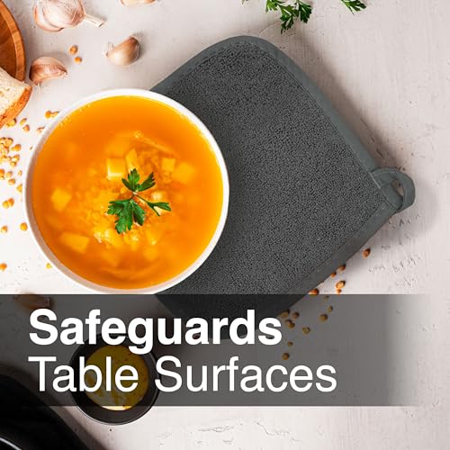 Ritz HOT PADS 2pk: Heat Resistant Pot Holders