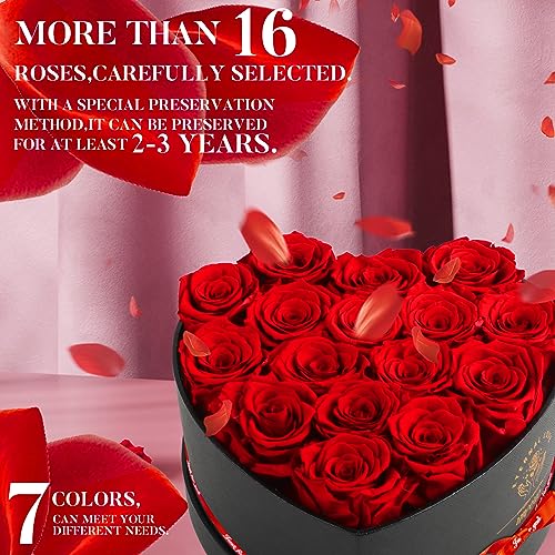 Impouo 16-Piece Preserved Rose Birthday Gifts for Women Eternal Rose Preserved Flowers for Delivery Prime Mothers' Day Valentine's Day Christmas Birthday - Red Roses