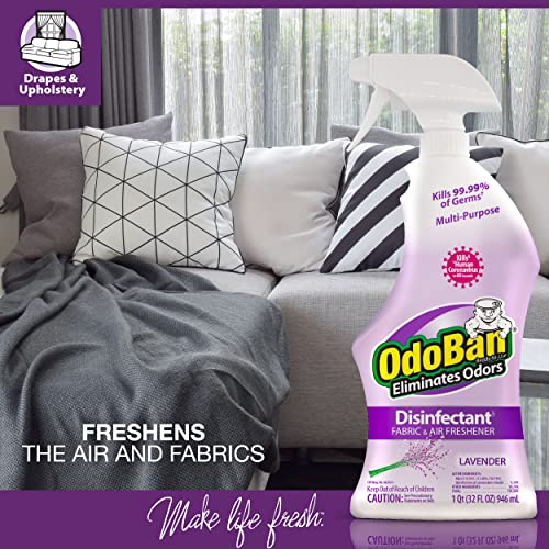 OdoBan 32OZSPRAY Deodorizer Disinfectant 32 Fl Oz (Pack of 2)