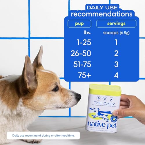 Native Pet The Daily Dog Supplement - 11 in 1 Dog Multivitamin - Tasty Scoop with Dog Vitamins and Supplements - Super Multi Vitamin for Dog Energy Mobility Skin & Coat - 12 Active Ingredients 28 oz