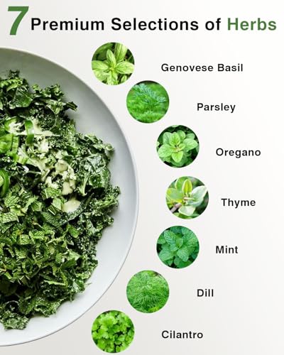 Gourmet Herb Seed Pod Kit for AeroGarden idoo Ahopegarden MUFGA Hydroponics Garden with Basil Parsley Thyme Mint Cilantro Dill Oregano - Compatible with All Hydroponics (12-Pod)