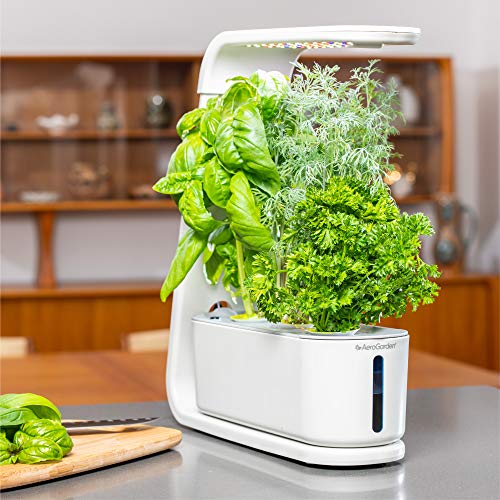AeroGarden Sprout White Hydroponic Growing System - 1 Each