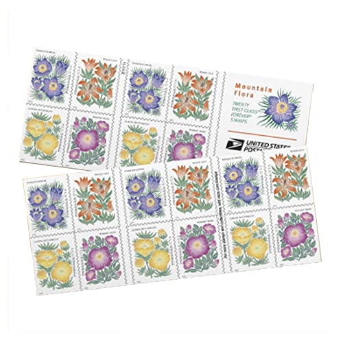 Flower US First Class Book