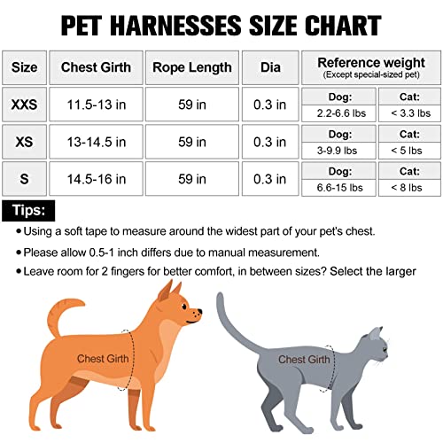 BEAUTYZOO Step in Dog Harness and Leash Set Polka Dot Pattern Reflective Dog Harness No Pull No Choke Puppy Harness for XXS XS S Dogs Cats Soft Padded Mesh Vest Harnesses for Girl and Boy Pets