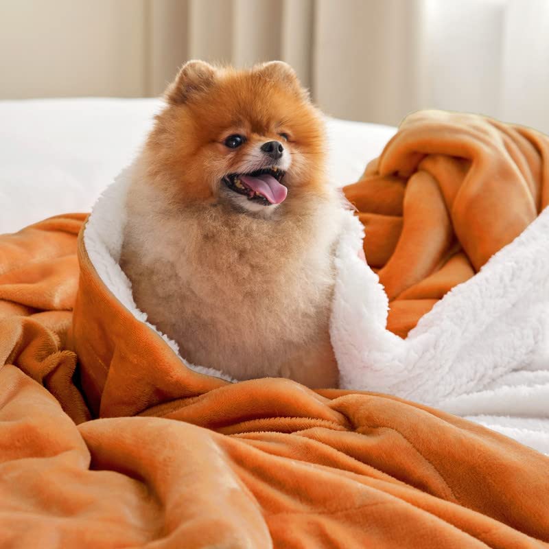 Bedsure Sherpa Fleece Blankets Queen Size for Bed - Soft Fuzzy Plush Orange Fall Blanket Thick and Warm Blanket for Winter 90x90 Inches